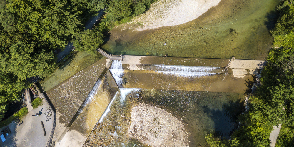 bassin-filtration-naturelle